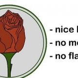Rose essiccate