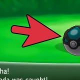 Prendi shedinja