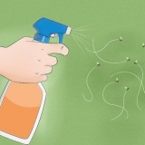 Uccidi rapidamente una mosca