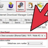 Scarica più velocemente con internet download manager (idm)