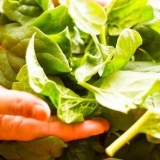 Preparare gli spinaci