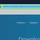 Utilizzo di team viewer