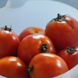 Pomodori in scatola