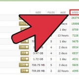 Utilizzo di torrent