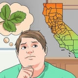 Identificazione del toxicodendron diversilobum
