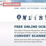 Crea un documento word da un jpg