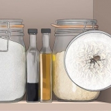 Sbarazzati dei parassiti della cucina