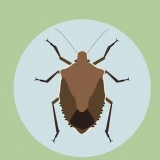 Sbarazzati dei bug dello scudo