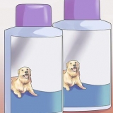 Sbarazzarsi delle pulci sui cuccioli troppo giovani per i mezzi nor...