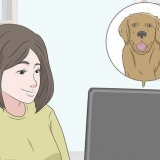 Comprare un cucciolo in sicurezza online