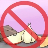 Prevenire l'avvelenamento da criceti