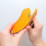 Zucca fresca congelata
