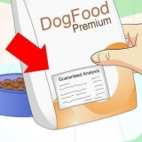 Aggiunta di fibre alla dieta del tuo cane