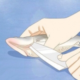Filetto di pesce