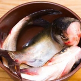 Prepara il pesce