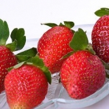 Conserve alimentari