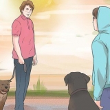 Impedire a un cane di abbaiare ad altri cani