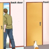 Impedire a un gatto di correre fuori dalla porta