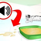 Impedire al tuo gatto di fare pipì in luoghi dove non è consentito