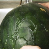 Congelare l'anguria