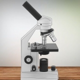 Sapere se soffri di acari della polvere domestica