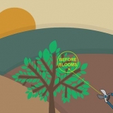 Potatura a fiore alternato