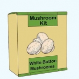 Crescere funghi bianchi