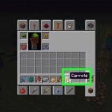 Piantare semi in minecraft