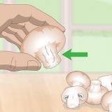 Controlla se i funghi sono viziati