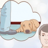Controlla se il tuo cane è depresso