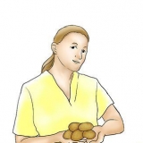 Coltivare patate dolci