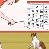 Impedisci al tuo gatto di attaccarti
