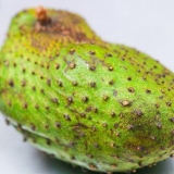 Fare il succo di zucchine