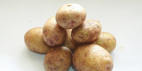 Congelare le patate