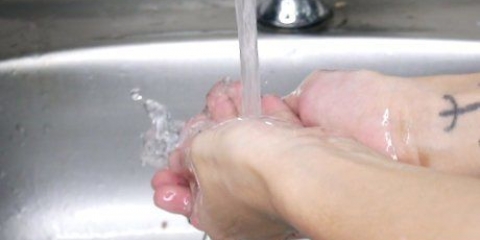 Fare il gel di aloe vera