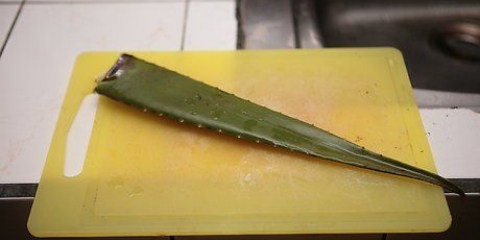 Preparare il succo di aloe vera