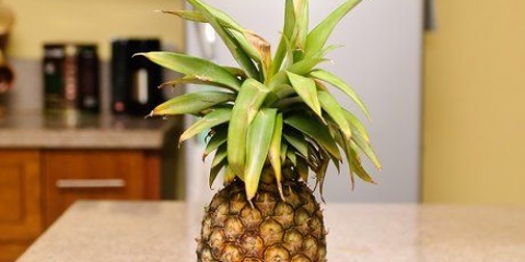 Preparare il succo di ananas