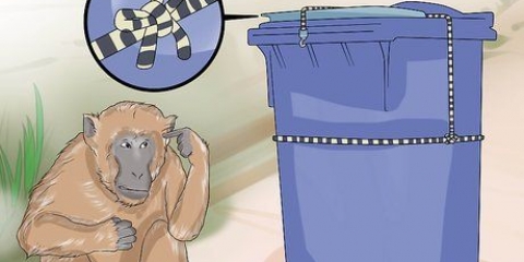 Tieni le scimmie fuori dalle aree residenziali
