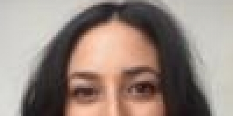 Digiuno di mele