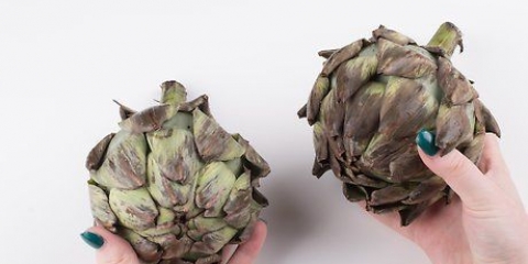 Carciofi al vapore