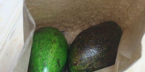 Conservare l'avocado