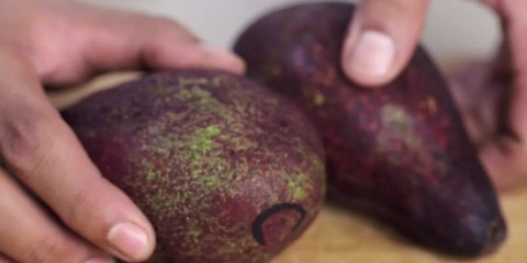 Congelare l'avocado