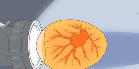 Come determinare se un uovo di uccello è sterile