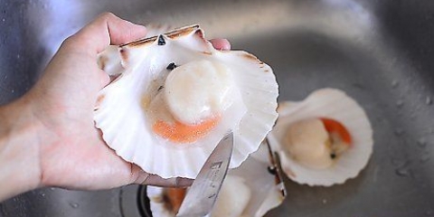 Preparare le capesante surgelate