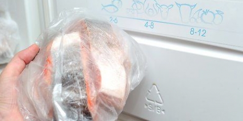 Scongelamento del salmone congelato