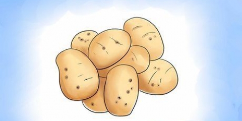 Coltivare patate al chiuso