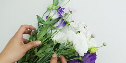 Fiori di essiccazione