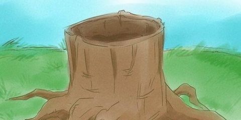Uccidere le radici degli alberi