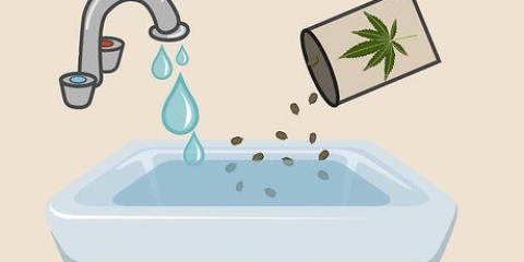 Piantare semi di cannabis in casa