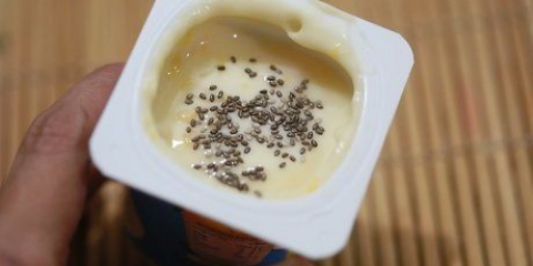 Mangiare semi di chia